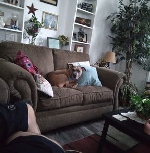 Meet your Posher, Jesse